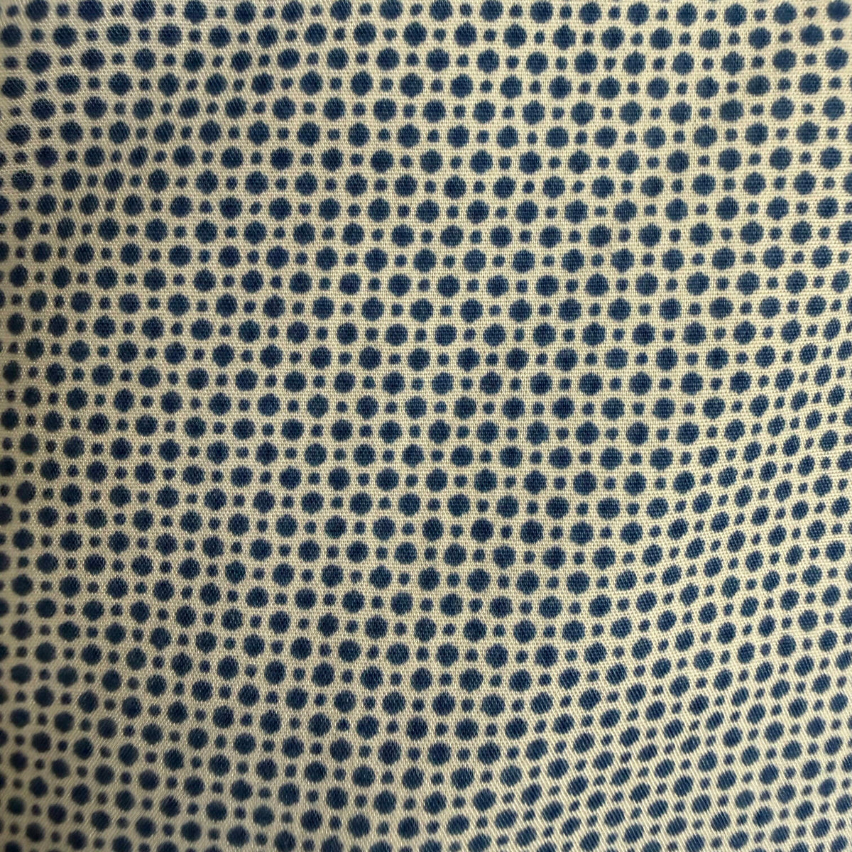 Tommy Hilfiger, Blue Dots, Ruffled Collar Shirt, Medium